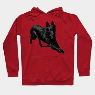 Groenendael Hoodie